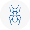Ant Removals In Poynton