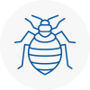 Bed Bug Extermination In Poynton