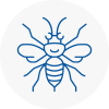 Poynton Hornet Nest Removals