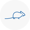 Mice Exterminators In Poynton