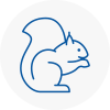 Poynton Rodent Removals